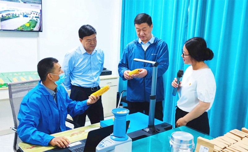 甘肅省地方金融監(jiān)管局、甘肅證監(jiān)局領(lǐng)導蒞臨敦煌種業(yè)調(diào)研指導