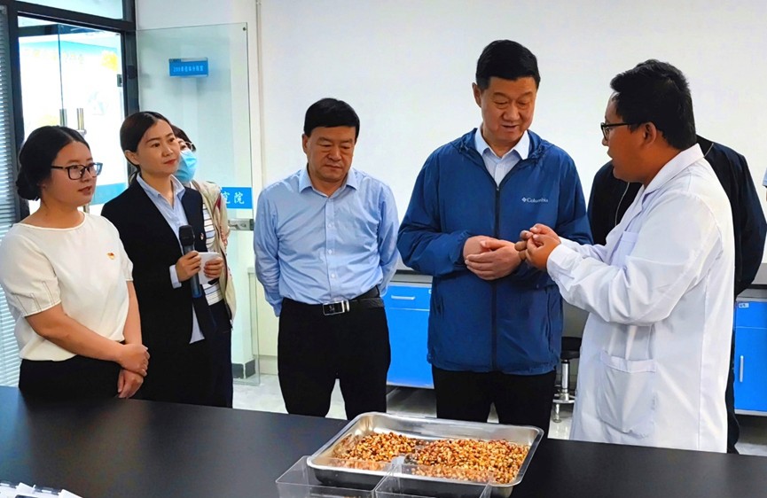 甘肅省地方金融監(jiān)管局、甘肅證監(jiān)局領(lǐng)導蒞臨敦煌種業(yè)調(diào)研指導